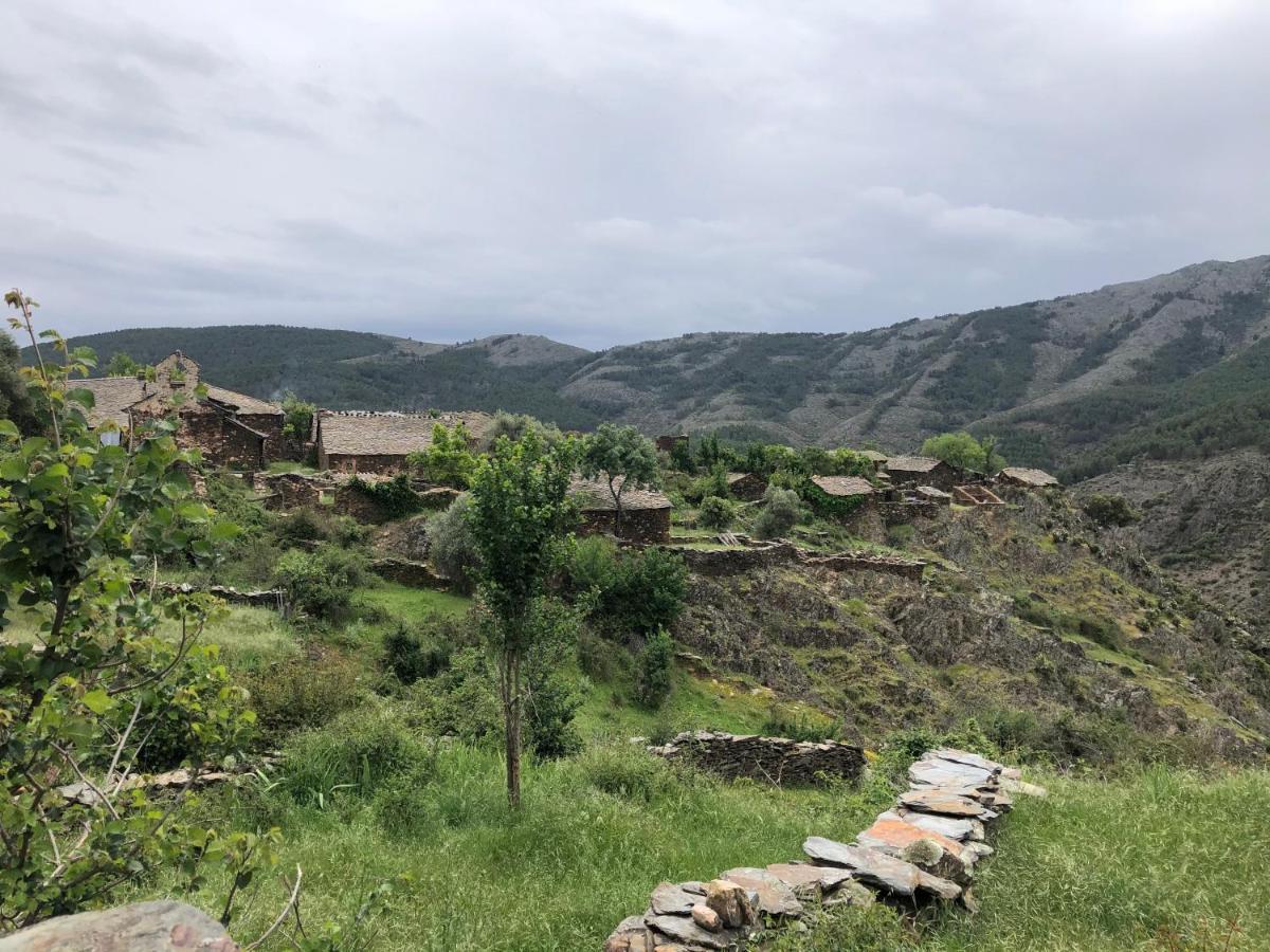 Refugios Del Valle Negro Campillo de Ranas Εξωτερικό φωτογραφία