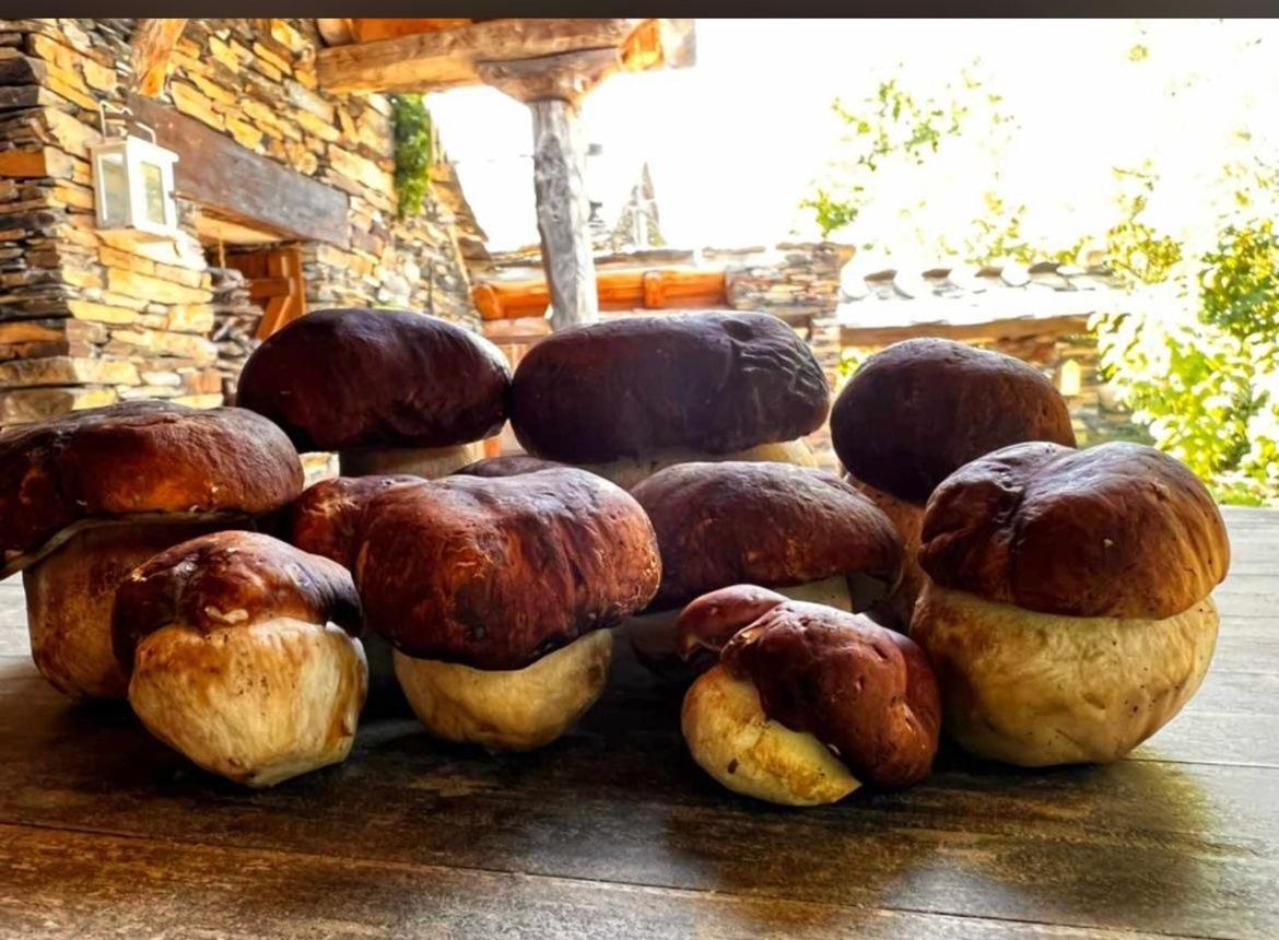 Refugios Del Valle Negro Campillo de Ranas Εξωτερικό φωτογραφία