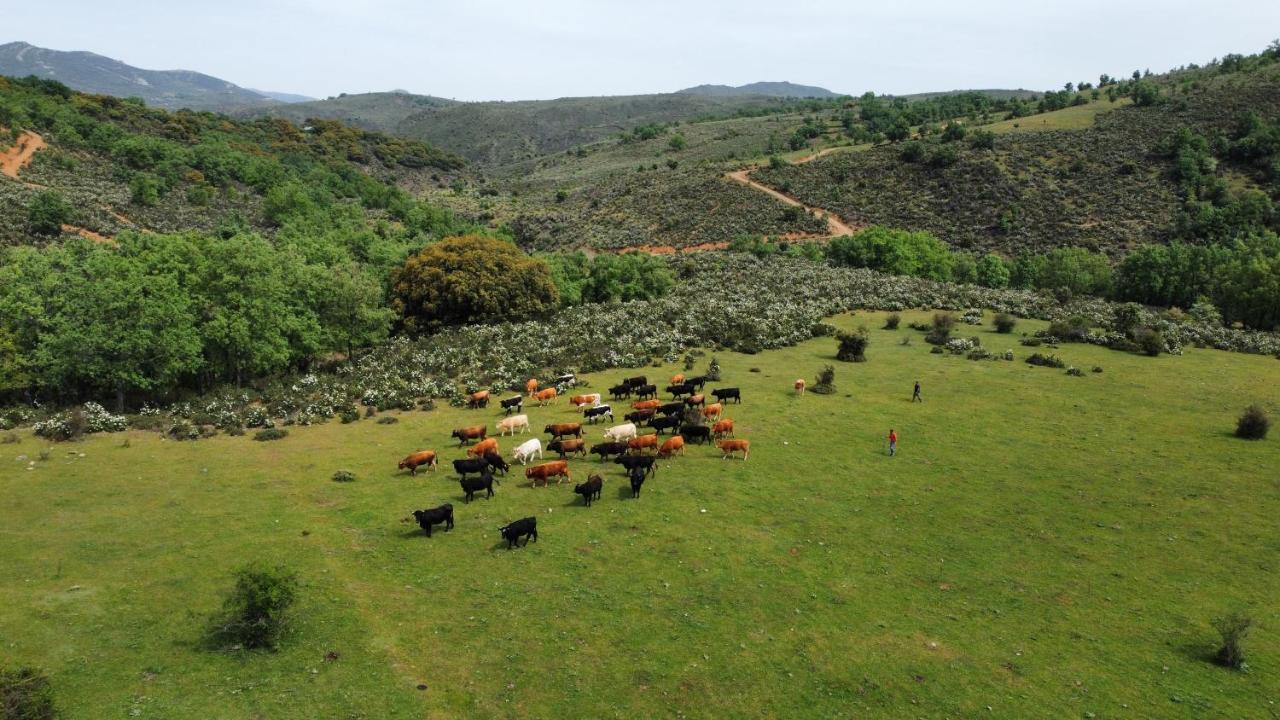 Refugios Del Valle Negro Campillo de Ranas Εξωτερικό φωτογραφία